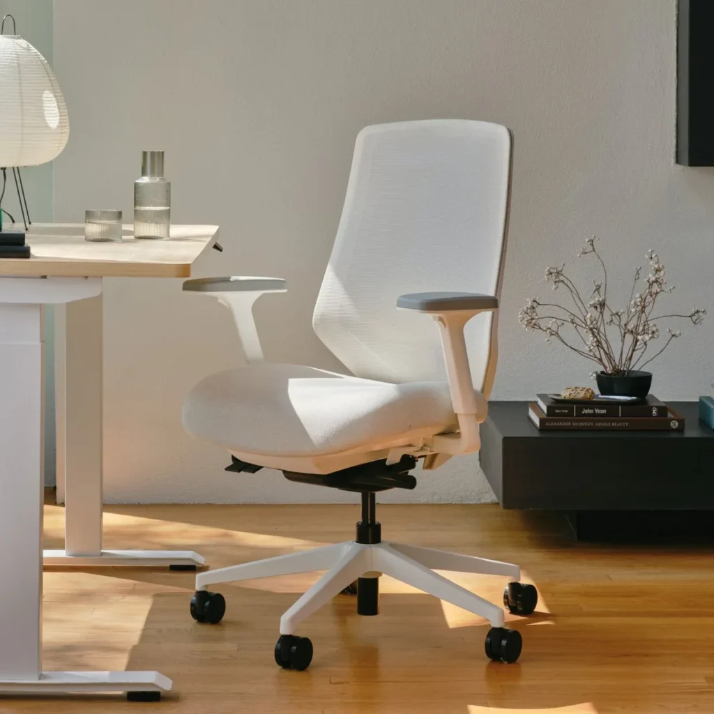 Branch Ergonomic Chair Pro product reviews
